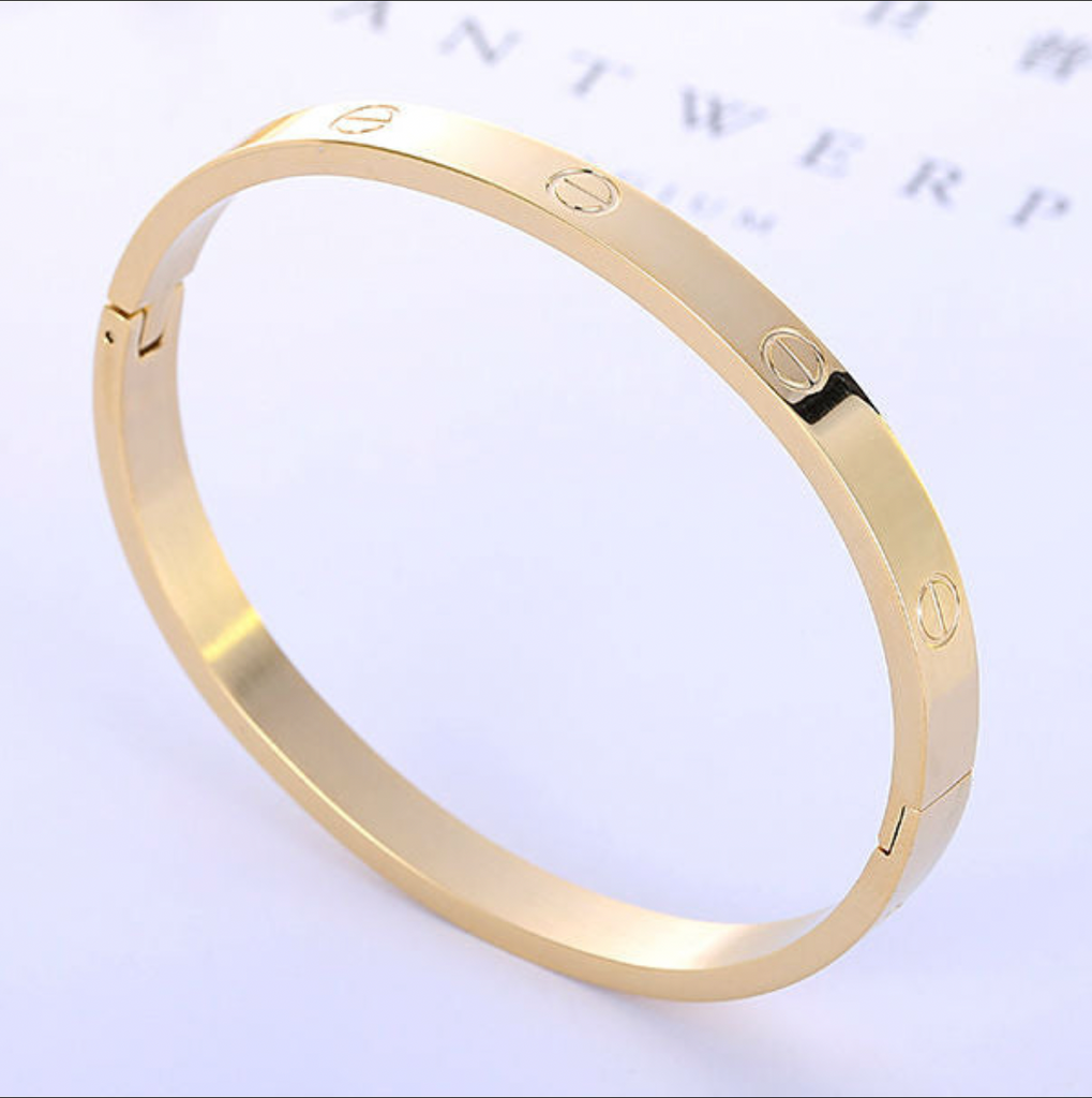 Gold Plated Stainless Steel Spine Bracelet — WE ARE ALL SMITH