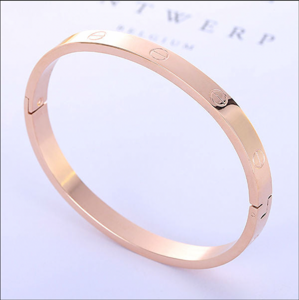 Amour Bangle Bracelet - Stainless Steel